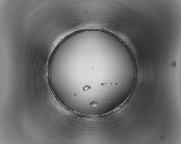 X0000110931288200907021514