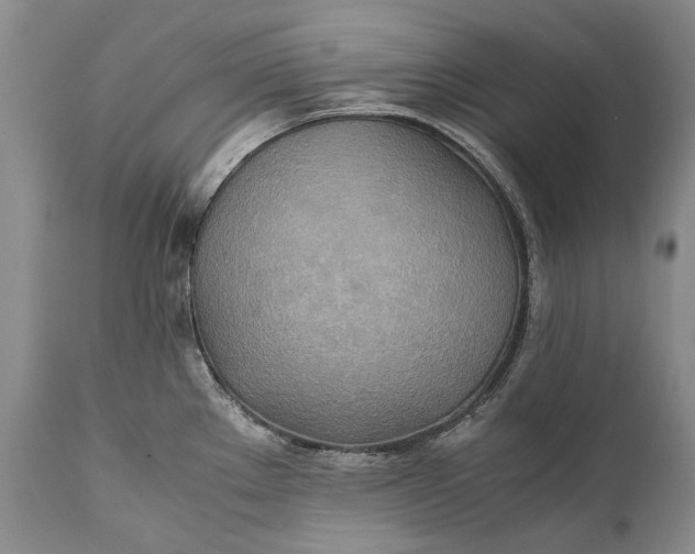 X0000110931289200907021514
