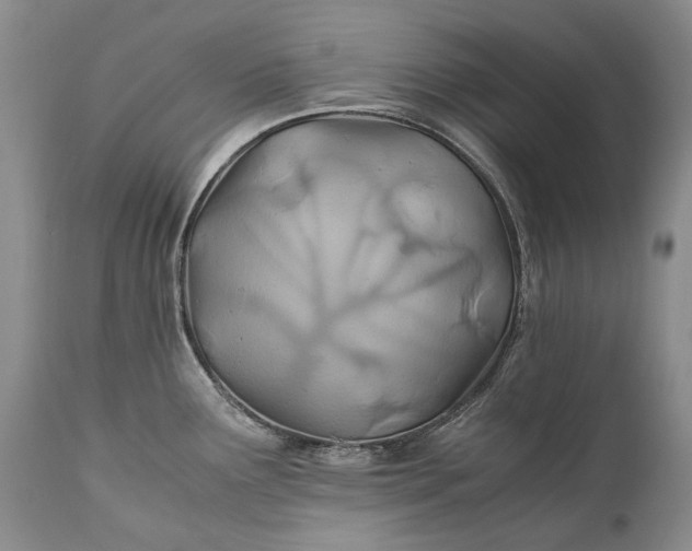 X0000110931291200907021514