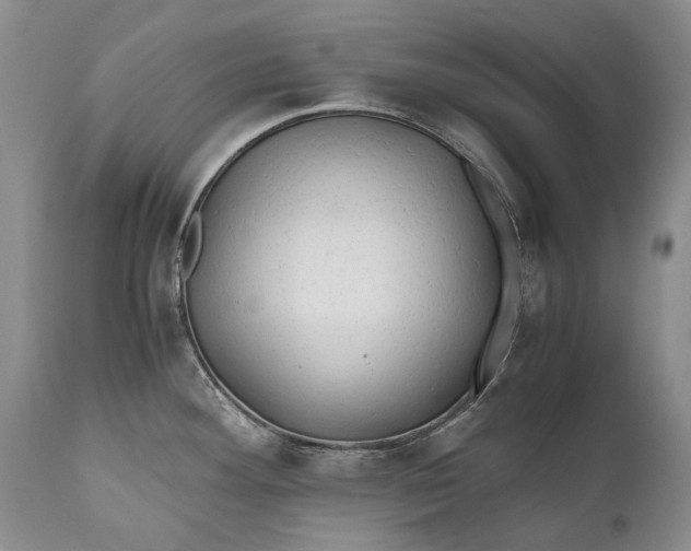 X0000110931292200907021514