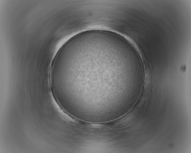 X0000110931295200907021514
