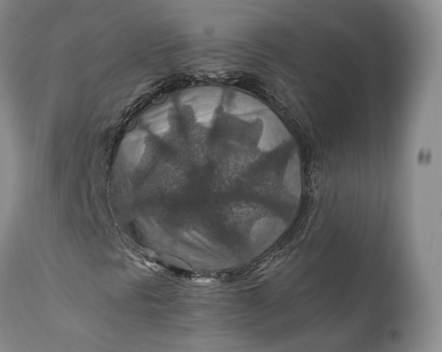 X0000110931297200907021513