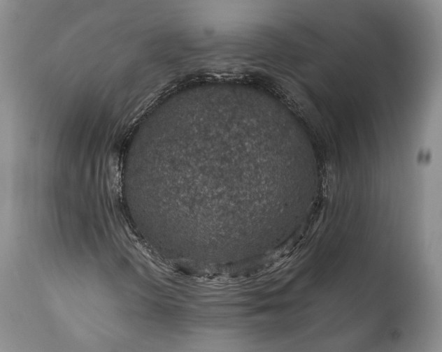 X0000110931298200907021513