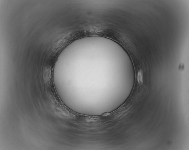 X0000110931299200907021513