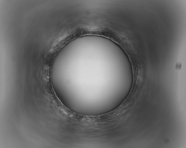 X0000110931301200907021513