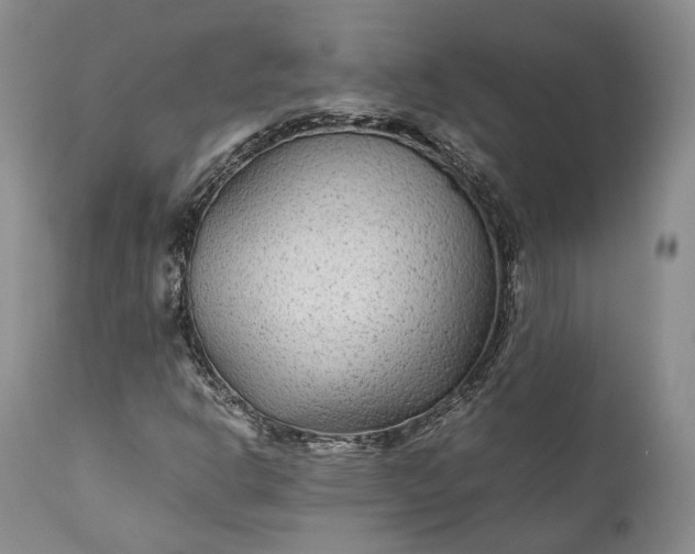 X0000110931302200907021513