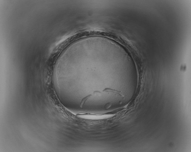 X0000110931303200907021513