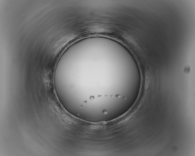 X0000110931305200907021513