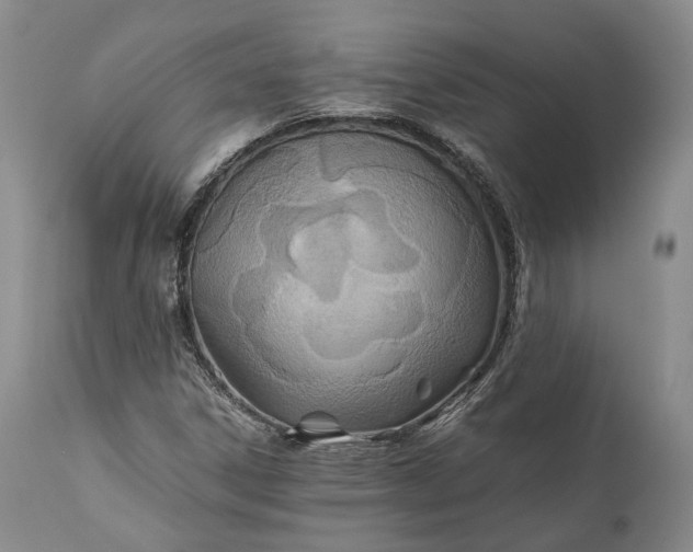 X0000110931306200907021513