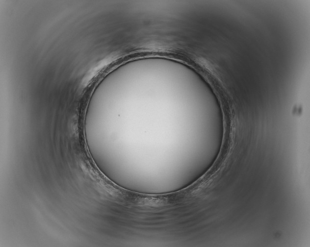 X0000110931307200907021513