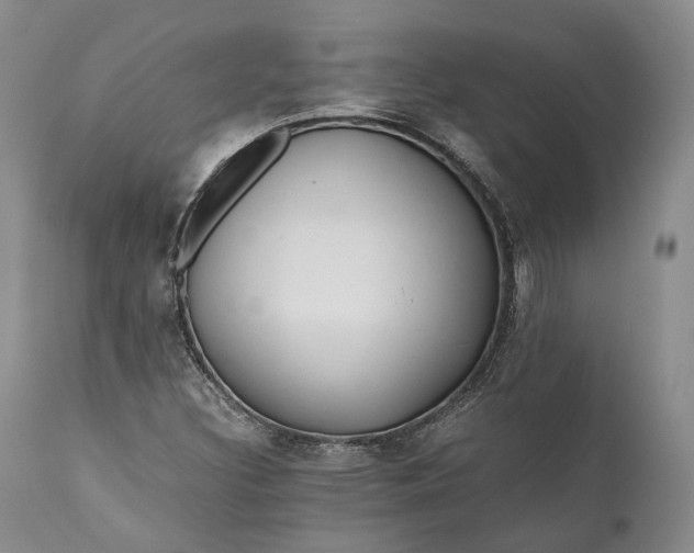 X0000110931308200907021513