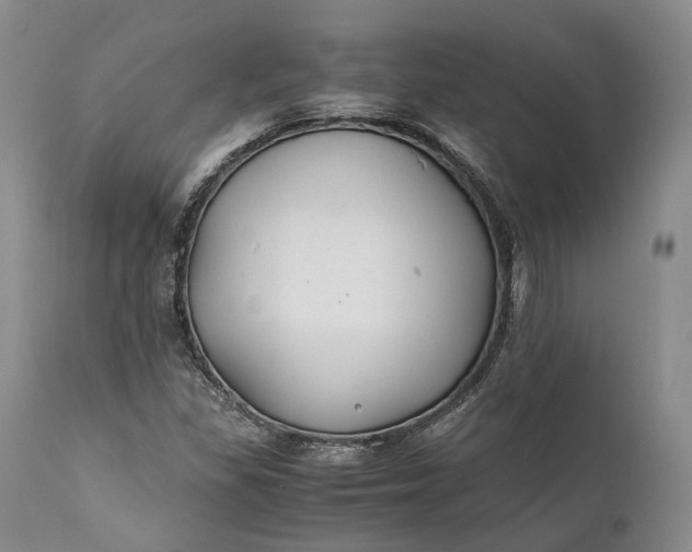 X0000110931309200907021513