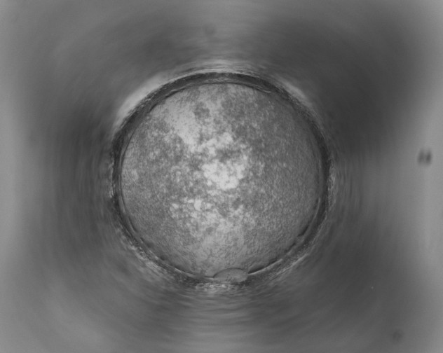X0000110931310200907021513