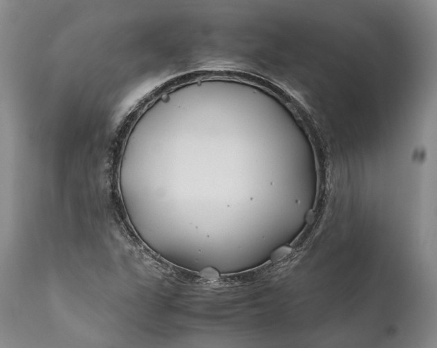 X0000110931311200907021513