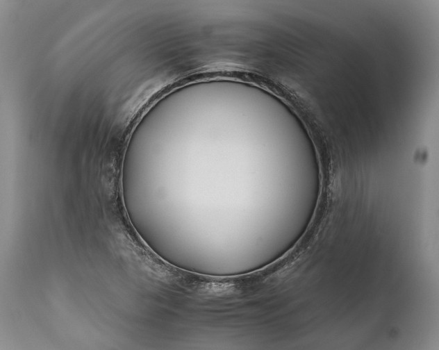 X0000110931313200907021513