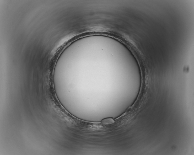 X0000110931315200907021514