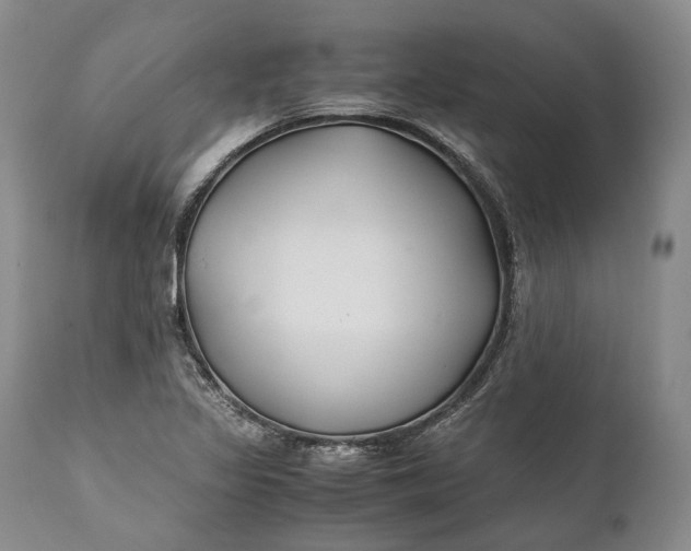 X0000110931317200907021514