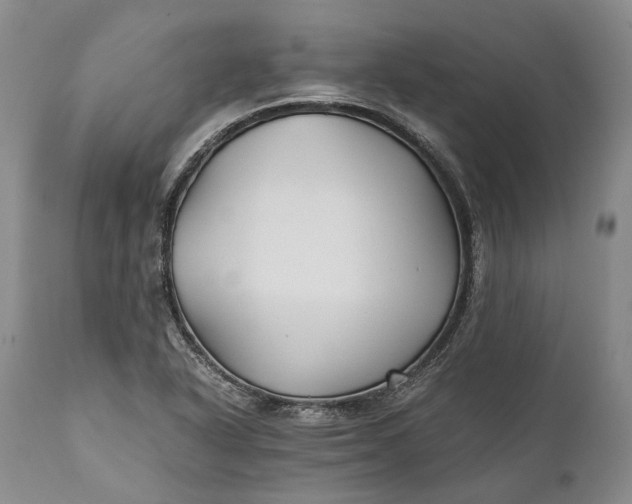 X0000110931318200907021514