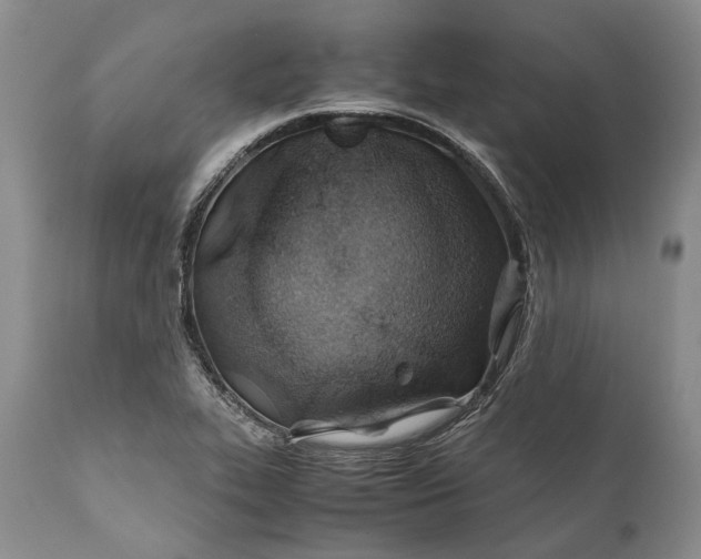 X0000110931319200907021514
