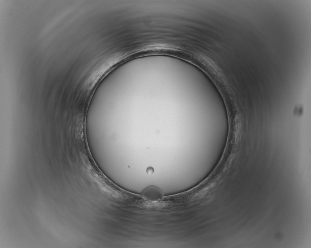 X0000110931321200907021514