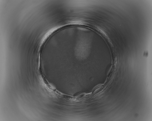 X0000110931323200907021514