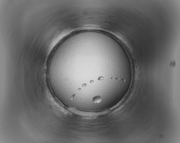 X0000110931325200907021514