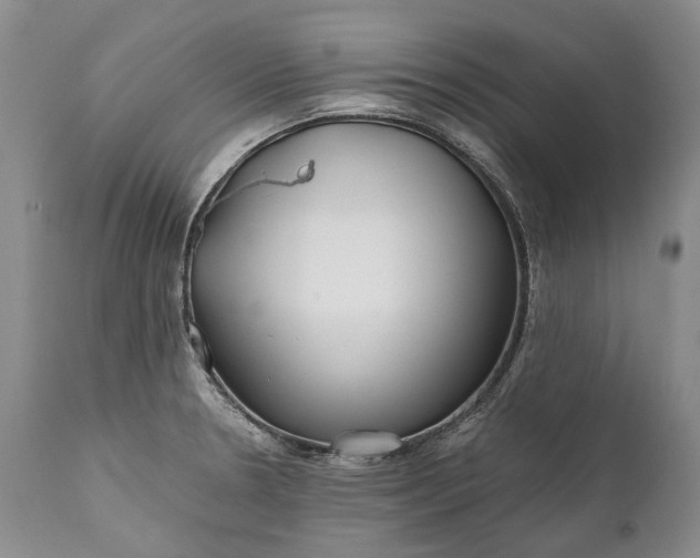 X0000110931330200907021514