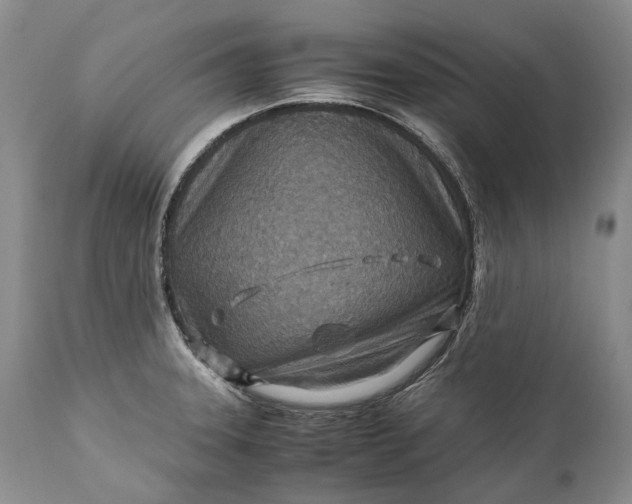 X0000110931331200907021514