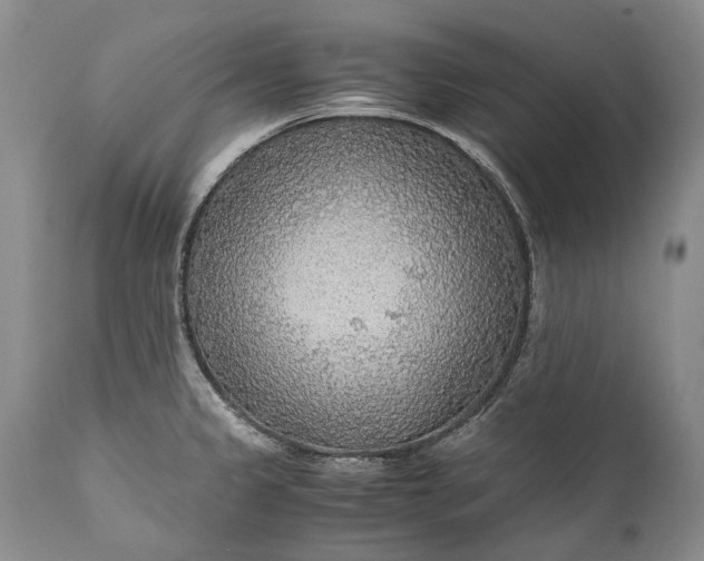 X0000110931333200907021514