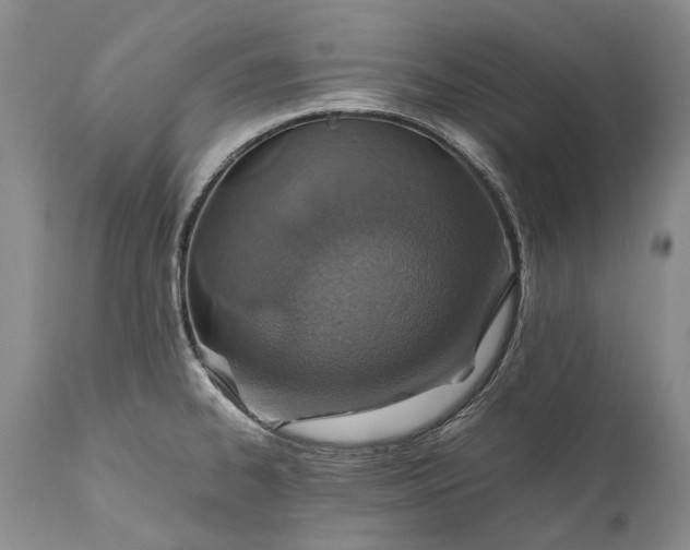 X0000110931334200907021514