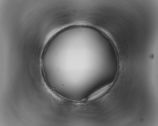 X0000110931335200907021514