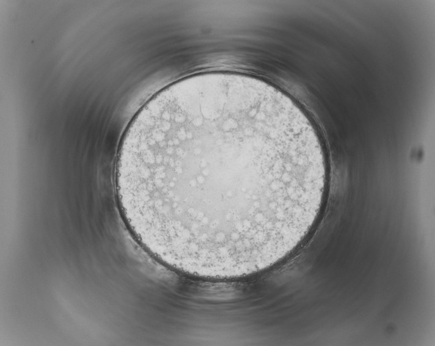 X0000110931338200907021514