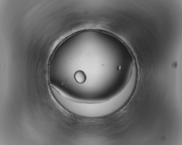X0000110931342200907021514