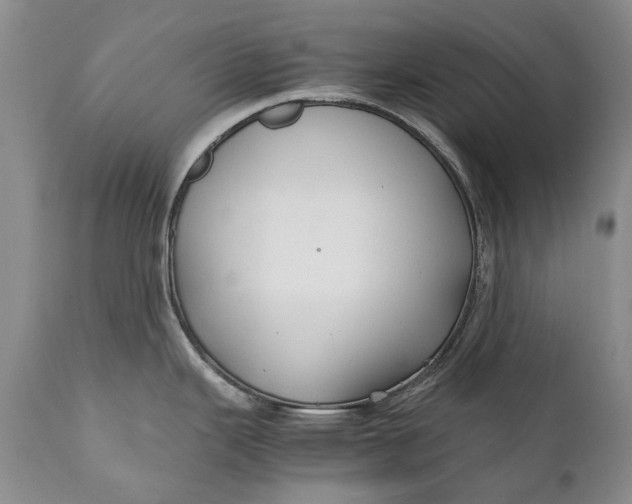 X0000110931343200907021514