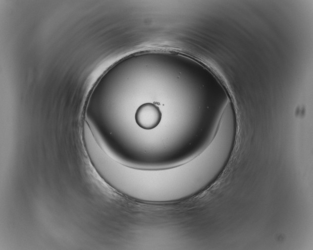 X0000110931344200907021514