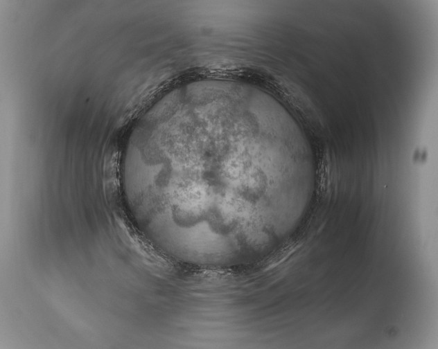 X0000110931346200907021513