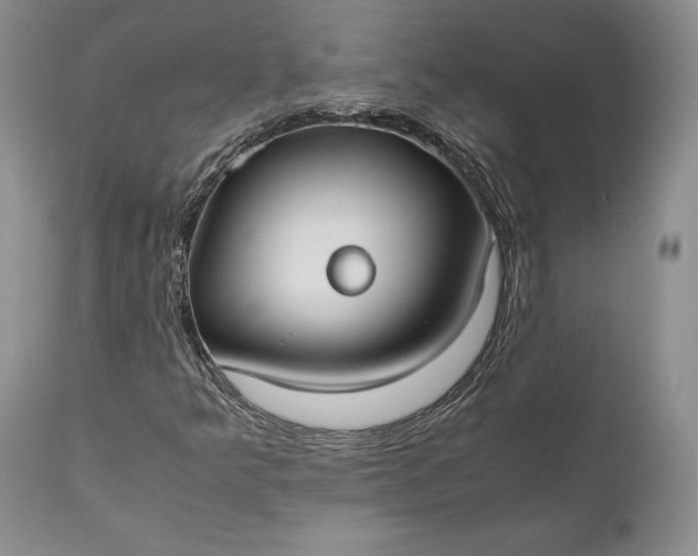 X0000110931349200907021513