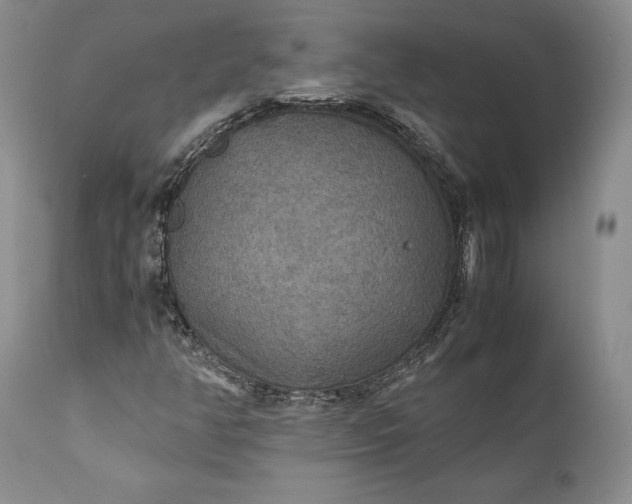 X0000110931350200907021513