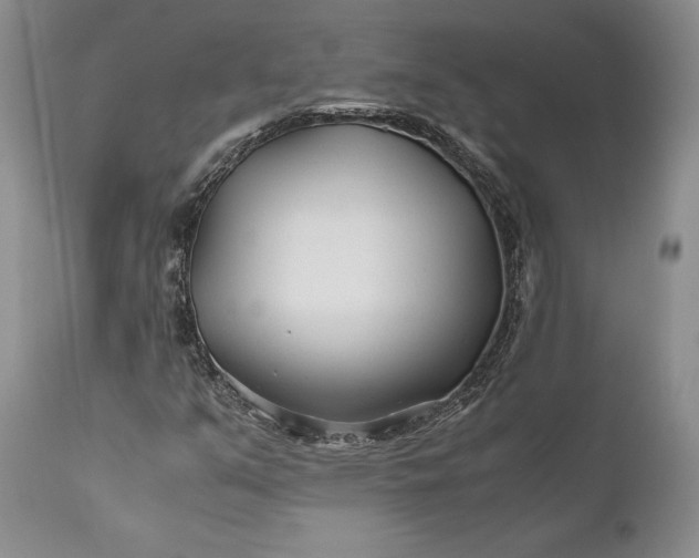X0000110931351200907021513