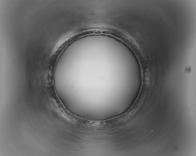 X0000110931352200907021513