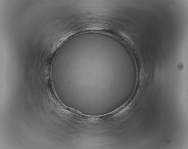 X0000110931353200907021513