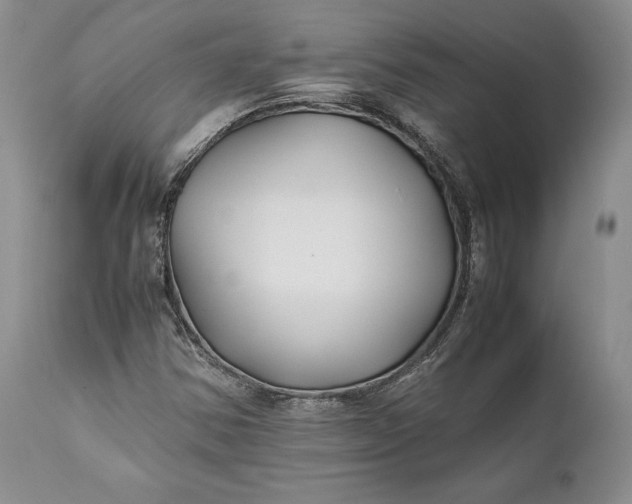 X0000110931354200907021513