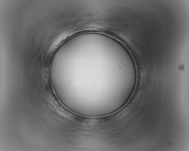 X0000110931355200907021513