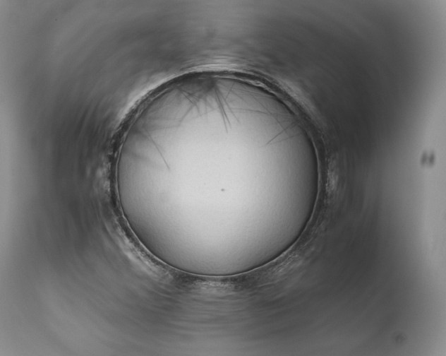 X0000110931356200907021513