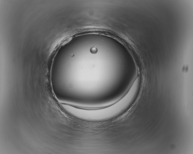 X0000110931357200907021513