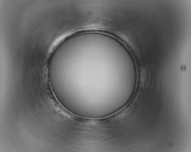 X0000110931358200907021513