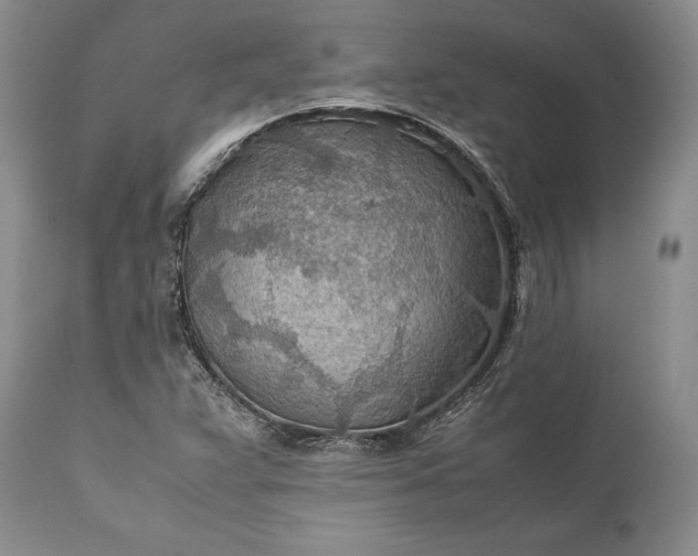 X0000110931359200907021513