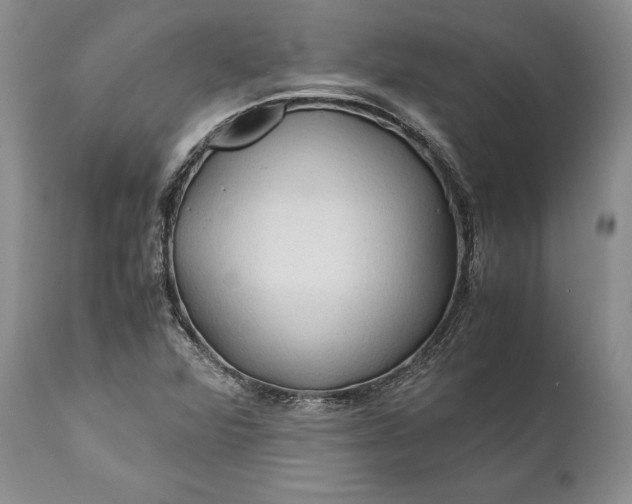 X0000110931360200907021513