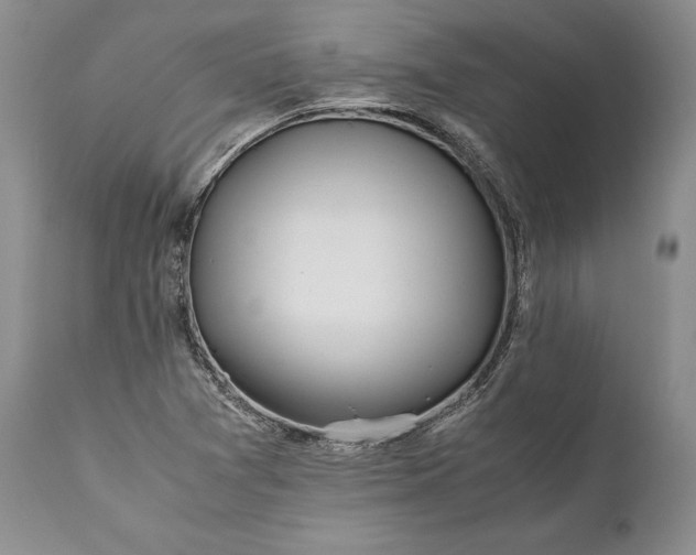 X0000110931361200907021513