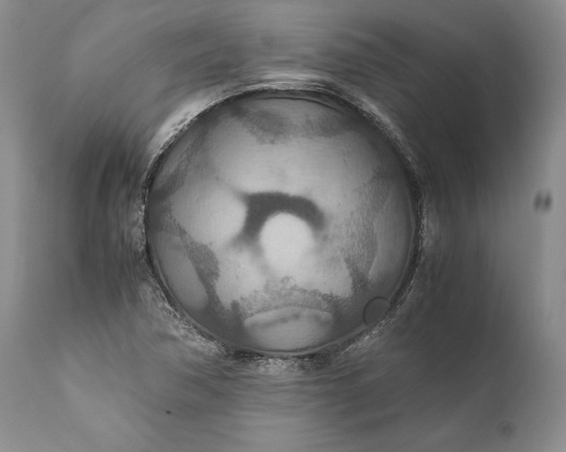X0000110931362200907021513